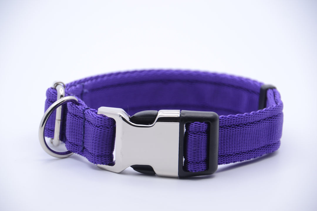 Purple collar for dogs hotsell